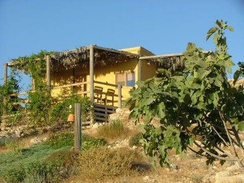 תמונה מהיקב