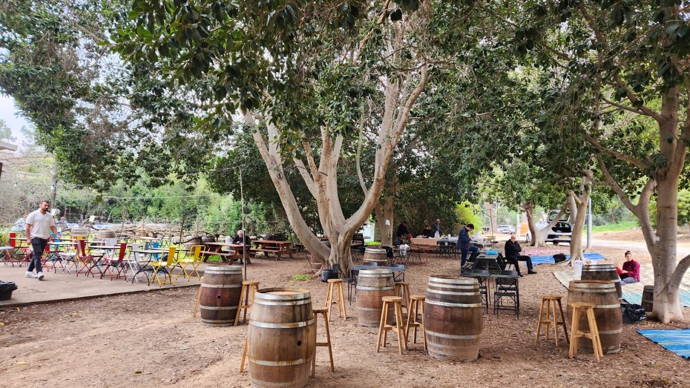 תמונה מהיקב